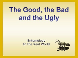 The Good, the Badand the Ugly Entomology In the Real World 