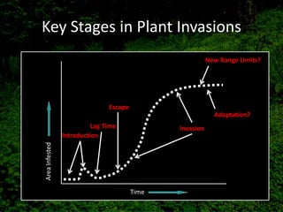 Key Stages in Plant Invasions
                                                          New Range Limits?




                               Escape
                                                            Adaptation?
                          Lag Time             Invasion
                Introduction
Area Infested




                                        Time
 