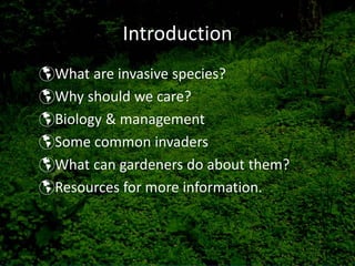 Introduction
What are invasive species?
Why should we care?
Biology & management
Some common invaders
What can gardeners do about them?
Resources for more information.
 