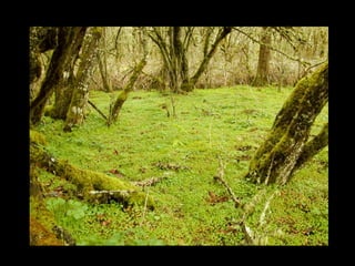 Lynn Ketchum, OSU EESC 
 