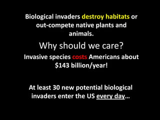 Biological invaders destroy habitats or 
    out‐compete native plants and 
               animals.
     Why should we care?
Invasive species costs Americans about 
           $143 billion/year!


 At least 30 new potential biological 
  invaders enter the US every day…
 