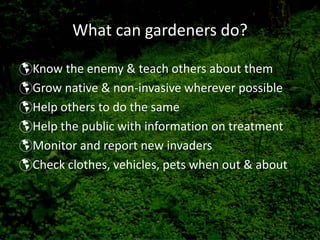What can gardeners do?

Know the enemy & teach others about them
Grow native & non‐invasive wherever possible
Help others to do the same
Help the public with information on treatment
Monitor and report new invaders
Check clothes, vehicles, pets when out & about
 