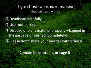 If you have a known invasive 
              (but can’t part with it)

Deadhead faithfully
Use root barriers
Dispose of plant material properly—bagged in 
the garbage or burned (completely)
Please don’t share your invader with others!

      Contain it, control it, or cage it!
 