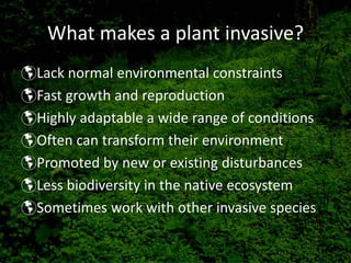 What makes a plant invasive?
Lack normal environmental constraints
Fast growth and reproduction
Highly adaptable a wide range of conditions
Often can transform their environment
Promoted by new or existing disturbances
Less biodiversity in the native ecosystem
Sometimes work with other invasive species
 