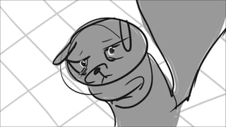 Megan Jacobi Squirrel Encounter