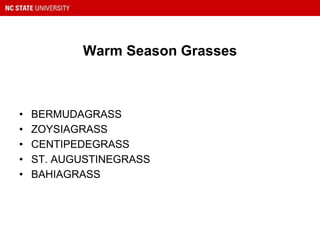 Warm Season Grasses
• BERMUDAGRASS
• ZOYSIAGRASS
• CENTIPEDEGRASS
• ST. AUGUSTINEGRASS
• BAHIAGRASS
 