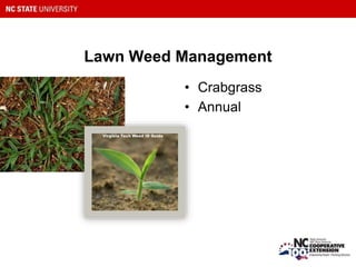 Lawn Weed Management
• Crabgrass
• Annual
 