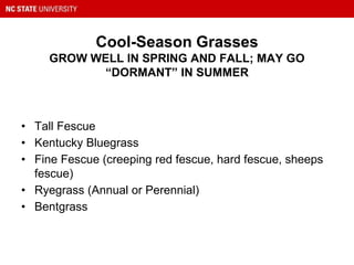Cool-Season Grasses
GROW WELL IN SPRING AND FALL; MAY GO
“DORMANT” IN SUMMER
• Tall Fescue
• Kentucky Bluegrass
• Fine Fescue (creeping red fescue, hard fescue, sheeps
fescue)
• Ryegrass (Annual or Perennial)
• Bentgrass
 