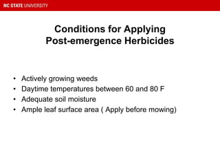Conditions for Applying
Post-emergence Herbicides
• Actively growing weeds
• Daytime temperatures between 60 and 80 F
• Adequate soil moisture
• Ample leaf surface area ( Apply before mowing)
 