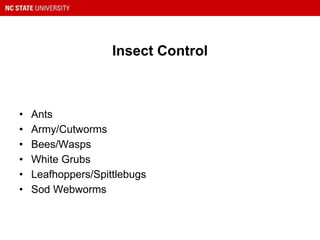 Insect Control
• Ants
• Army/Cutworms
• Bees/Wasps
• White Grubs
• Leafhoppers/Spittlebugs
• Sod Webworms
 