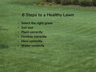 6 Steps to a Healthy Lawn
• Select the right grass
• Soil test
• Plant correctly
• Fertilize correctly
• Mow correctly
• Water correctly
 