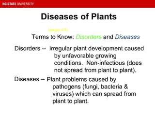 Diseases of Plants
Terms to Know: Disorders and Diseases
Plant problems caused by
pathogens (fungi, bacteria &
viruses) which can spread from
plant to plant.
Diseases --
Irregular plant development caused
by unfavorable growing
conditions. Non-infectious (does
not spread from plant to plant).
Disorders --
(page 61)
 