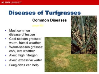 Diseases of Turfgrasses
Brown patch
▪ Most common
disease of fescue
▪ Cool-season grasses:
warm, humid weather
▪ Warm-season grasses:
cool, wet weather
Common Diseases
(page 65)
▪ Avoid high nitrogen
▪ Avoid excessive water
▪ Fungicides can help
 