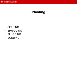 Planting
• SEEDING
• SPRIGGING
• PLUGGING
• SODDING
 