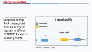 Intergenic lncRNA
7/1/2016 6:38 AM 10
Source :- (Ma et al., 2013)
 