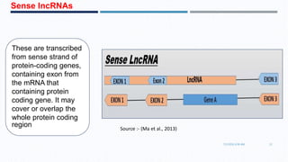 These are transcribed
from sense strand of
protein-coding genes,
containing exon from
the mRNA that
containing protein
coding gene. It may
cover or overlap the
whole protein coding
region
Sense lncRNAs
7/1/2016 6:38 AM 13
Source :- (Ma et al., 2013)
 