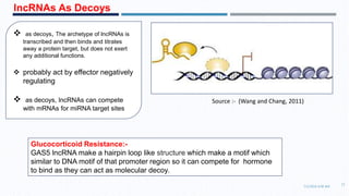  as decoys, The archetype of lncRNAs is
transcribed and then binds and titrates
away a protein target, but does not exert
any additional functions.
 probably act by effector negatively
regulating
 as decoys, lncRNAs can compete
with mRNAs for miRNA target sites
lncRNAs As Decoys
7/1/2016 6:38 AM
17
Source :- (Wang and Chang, 2011)
Glucocorticoid Resistance:-
GAS5 lncRNA make a hairpin loop like structure which make a motif which
similar to DNA motif of that promoter region so it can compete for hormone
to bind as they can act as molecular decoy.
 