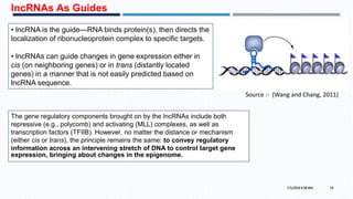 • lncRNA is the guide—RNA binds protein(s), then directs the
localization of ribonucleoprotein complex to specific targets.
• lncRNAs can guide changes in gene expression either in
cis (on neighboring genes) or in trans (distantly located
genes) in a manner that is not easily predicted based on
lncRNA sequence.
7/1/2016 6:38 AM 19
Source :- (Wang and Chang, 2011)
The gene regulatory components brought on by the lncRNAs include both
repressive (e.g., polycomb) and activating (MLL) complexes, as well as
transcription factors (TFIIB). However, no matter the distance or mechanism
(either cis or trans), the principle remains the same: to convey regulatory
information across an intervening stretch of DNA to control target gene
expression, bringing about changes in the epigenome.
lncRNAs As Guides
 