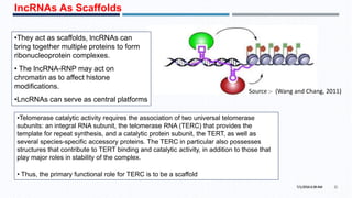 lncRNAs As Scaffolds
•They act as scaffolds, lncRNAs can
bring together multiple proteins to form
ribonucleoprotein complexes.
• The lncRNA-RNP may act on
chromatin as to affect histone
modifications.
•LncRNAs can serve as central platforms
7/1/2016 6:38 AM 21
Source :- (Wang and Chang, 2011)
•Telomerase catalytic activity requires the association of two universal telomerase
subunits: an integral RNA subunit, the telomerase RNA (TERC) that provides the
template for repeat synthesis, and a catalytic protein subunit, the TERT, as well as
several species-specific accessory proteins. The TERC in particular also possesses
structures that contribute to TERT binding and catalytic activity, in addition to those that
play major roles in stability of the complex.
• Thus, the primary functional role for TERC is to be a scaffold
 