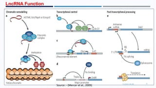 LncRNA Function
7/1/2016 6:38 AM 23
Source :- (Mercer et al., 2009)
 