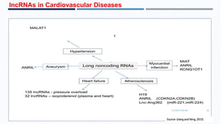 lncRNAs in Cardiovascular Diseases
7/1/2016 6:38 AM 28
Source:-(Jiang and Ning, 2015)
 