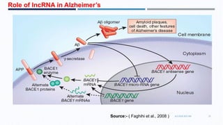 Long non coding RNA and Their clinical perspective | PPTX