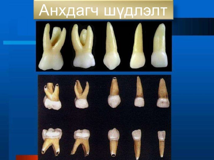 202 хэсэг бие даалт