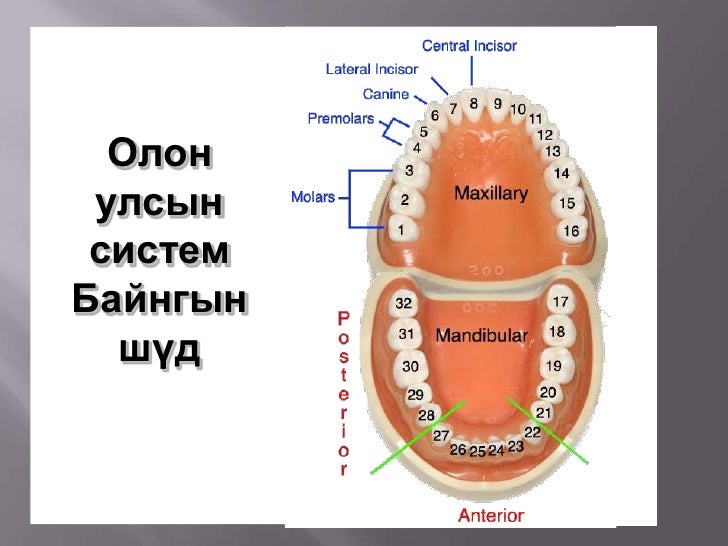 202 хэсэг бие даалт