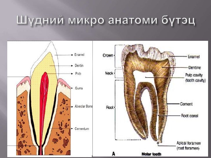 202 хэсэг бие даалт