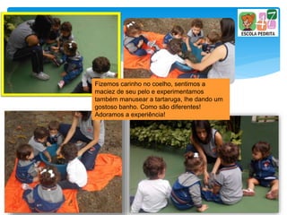 Fizemos carinho no coelho, sentimos a
maciez de seu pelo e experimentamos
também manusear a tartaruga, lhe dando um
gostoso banho. Como são diferentes!
Adoramos a experiência!
 