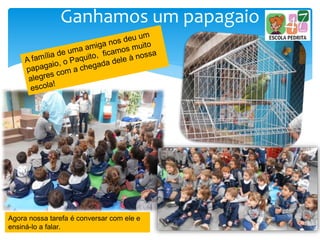 Ganhamos um papagaio
Agora nossa tarefa é conversar com ele e
ensiná-lo a falar.
 