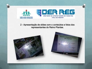 2 - Apresentação de slides com o conteúdos e fotos dos
representantes do Reino Plantae.
 