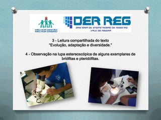 3 - Leitura compartilhada do texto
“Evolução, adaptação e diversidade.”
4 - Observação na lupa estereoscópica de alguns exemplares de
briófitas e pteridófitas.
 