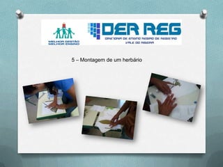 5 – Montagem de um herbário
 