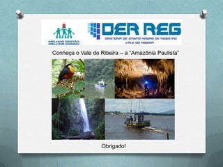 Obrigado!
Conheça o Vale do Ribeira – a “Amazônia Paulista”
 