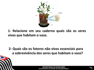 1- Relacione em seu caderno quais são os seres
vivos que habitam o vaso.

2- Quais são os fatores não vivos essenciais para
a sobrevivência dos seres que habitam o vaso?

SECRETARIA DA EDUCAÇÃO

Coordenadoria de Gestão da Educação Básica

Slide
12

 