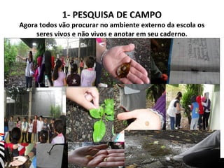 1- PESQUISA DE CAMPO

Agora todos vão procurar no ambiente externo da escola os
seres vivos e não vivos e anotar em seu caderno.

SECRETARIA DA EDUCAÇÃO

Coordenadoria de Gestão da Educação Básica

Slide
7

 