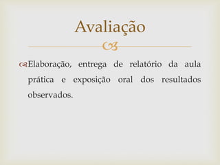 
Elaboração, entrega de relatório da aula
prática e exposição oral dos resultados
observados.
Avaliação
 