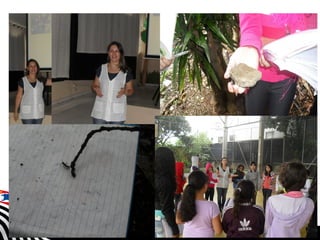 SECRETARIA DA EDUCAÇÃO
Coordenadoria de Gestão da Educação Básica
Slide
17
 