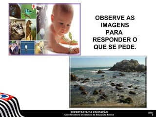 SECRETARIA DA EDUCAÇÃO
Coordenadoria de Gestão da Educação Básica
Slide
5
OBSERVE AS
IMAGENS
PARA
RESPONDER O
QUE SE PEDE.
 