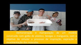 Demonstração e manipulação de um modelo
construído com galão de plástico, bexigas e mangueira, com o
objetivo de simular o processo de inspiração, expiração e
movimentação dos músculos.
 