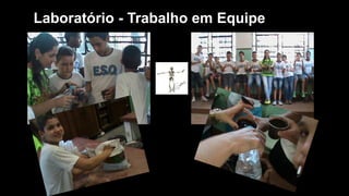 Laboratório - Trabalho em Equipe
 