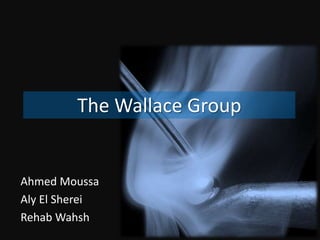 The Wallace Group Ahmed Moussa Aly El Sherei Rehab Wahsh 