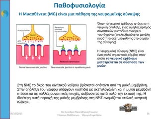 Η Μυασθένεια (MG) είναι μια πάθηση της νευρομυϊκής σύναψης
Η νευρομυϊκή σύναψη (ΝΜΣ) είναι
ένας πολύ σημαντικός κόμβος στον
οποίο το νευρικό ερέθισμα
μετατρέπεται σε σύσπαση των
μυών
Στη ΝΜΣ το άκρο του κινητικού νεύρου βρίσκεται απέναντι από τη μυϊκή μεμβράνη.
Στην απόληξη του νεύρου υπάρχουν κυστίδια με ακετυλοχολίνη και η μυϊκή μεμβράνη
πτύσσεται σε πολλές συναπτικές πτυχές, αυξάνοντας κατά πολύ την έκτασή της. Η
ιδιαίτερη αυτή περιοχή της μυϊκής μεμβράνης στη ΝΜΣ ονομάζεται «τελική κινητική
πλάκα».
16/10/2015 16
8ο Συνέδριο Πανελλήνιας Ένωσης
Σπανίων Παθήσεων - Ίδρυμα Ευγενίδου
Παθοφυσιολογία
ea adb
Όταν το νευρικό ερέθισμα φτάσει στη
νευρική απόληξη, ένας υψηλός αριθμός
συναπτικών κυστιδίων ανοίγουν
ταυτόχρονα (απελευθερώνεται μεγάλη
ποσότητα ακετυλοχολίνης στο σημείο
της σύναψης)
 