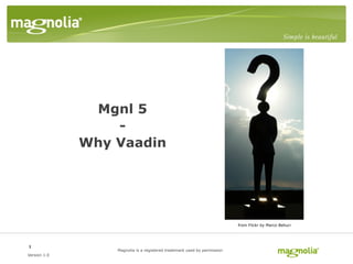 Mgnl 5
                  -
              Why Vaadin




                                                                          from Flickr by Marco Belluci




1
                  Magnolia is a registered trademark used by permission
Version 1.0
 