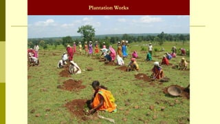 Plantation Works
 