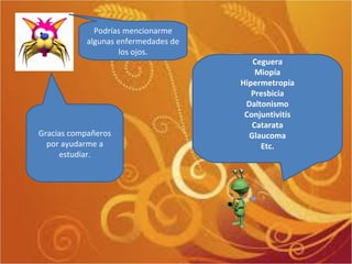 Ceguera Miopía Hipermetropía Presbicia Daltonismo Conjuntivitis Catarata Glaucoma Etc. Gracias compañeros por ayudarme a estudiar. Podrías mencionarme algunas enfermedades de los ojos. 
