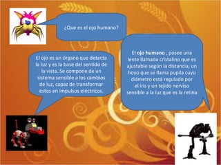 ¿Que es el ojo humano? El  ojo humano  , posee una lente llamada cristalino que es ajustable según la distancia, un hoyo que se llama pupila cuyo diámetro está regulado por el iris y un tejido nerviso sensible a la luz que es la retina El ojo es un órgano que detecta la luz y es la base del sentido de la vista. Se compone de un sistema sensible a los cambios de luz, capaz de transformar éstos en impulsos eléctricos. 