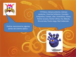 !!!!!Claro, Cámara anterior, Cámara posterior, Canal de Schlemm, Coroides, Conjuntiva, Cuerpo, ciliar, Esclerótica, Fóvea, Humor acuoso, Humor vítreo, Iris, Mácula, Ora serrata, Punto ciego, Red trabecular. Podrías mencionarme algunas partes del sistema óptico.  