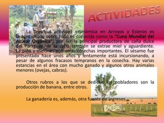 La principal actividad económica en Arroyos y Esteros es
la agricultura, sobre todo es conocida como la “Cuna Mundial del
Azúcar Orgánica", por ser la principal productora de caña dulce
del Paraguay, de la caña también se extrae miel y aguardiente.
La piña y melones son otras cosechas importantes. El sésamo fue
presentado hace unos años y lentamente está incursionando, a
pesar de algunos fracasos tempranos en la cosecha. Hay varias
estancias en el área con mucho ganado y algunos otros animales
menores (ovejas, cabras).

    Otros rubros a los que se dedican los pobladores son la
producción de banana, entre otros.

    La ganadería es, además, otra fuente de ingresos.
 